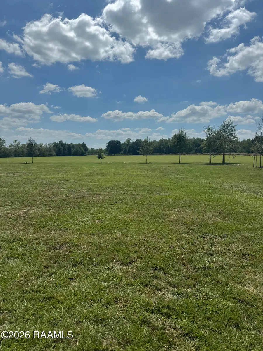 24913 Chestnut Road, Kaplan, LA 70548 - #2