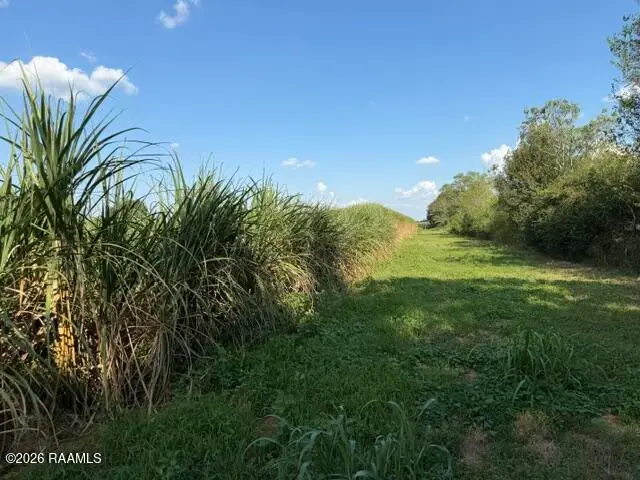 Tbd La-13, Kaplan, LA 70548 - #2