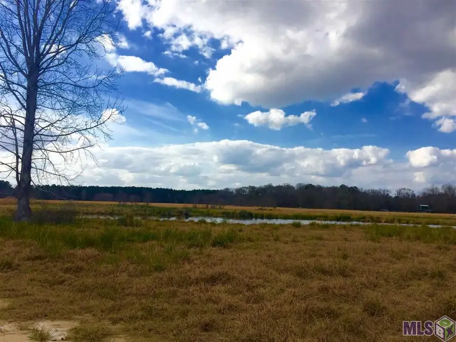 17530 Stoney Point Burch Rd, Pride, LA 70770 - Image #3