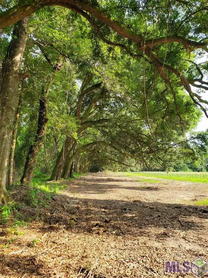 22602 Fletcher Rd, Ponchatoula, LA 70454 - Image #3