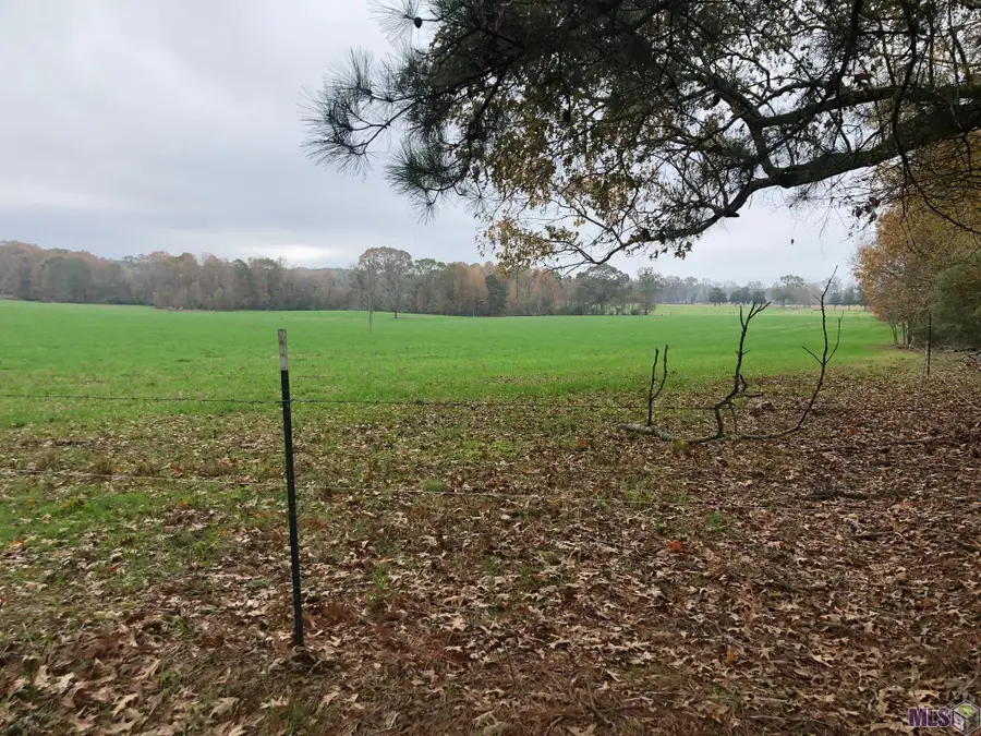 Jackson Louisiana Rd, Woodville, MS 39669 - Image #2