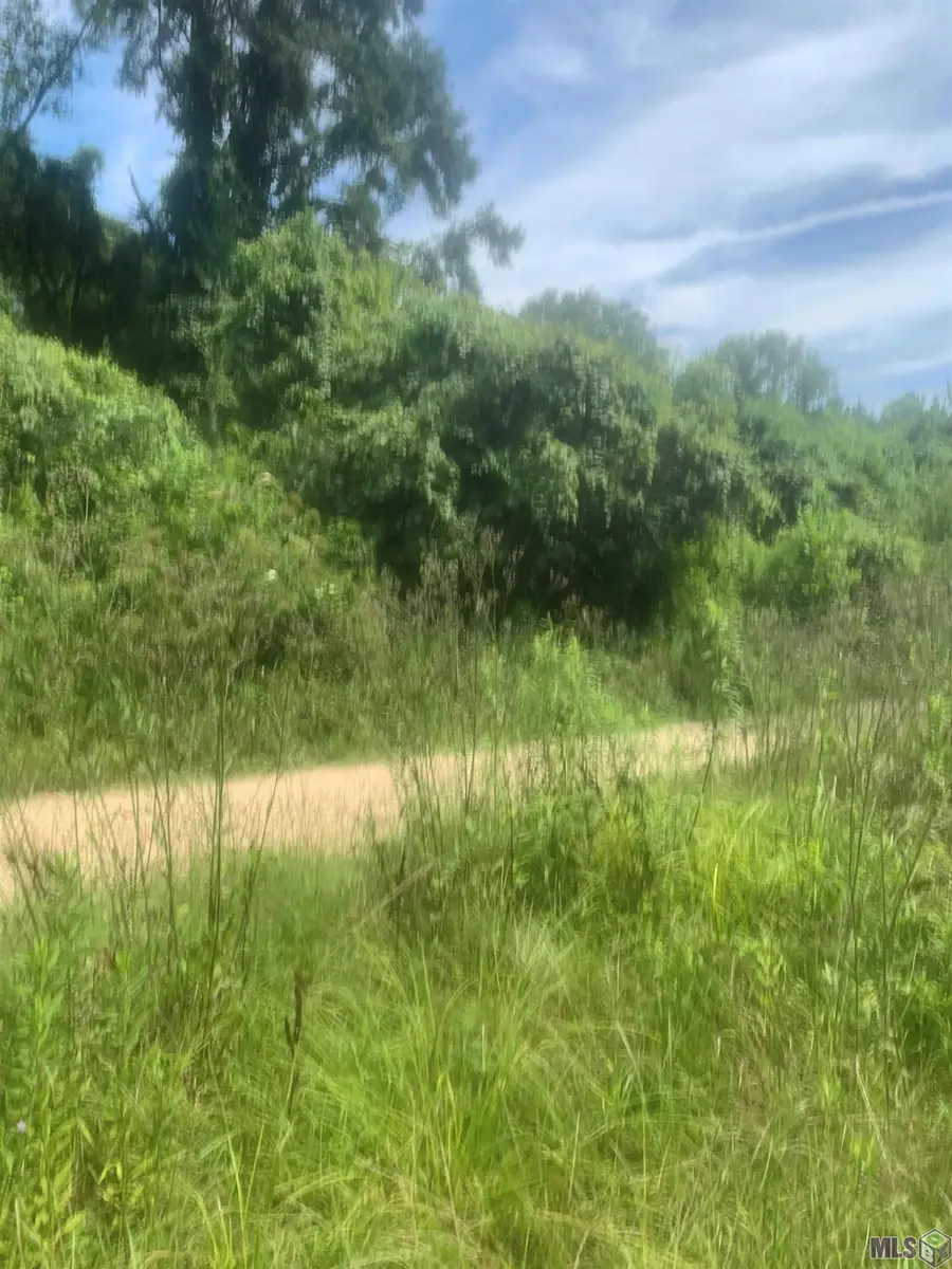 TBD Allen Brown Ln, Jackson, LA 70748 - #2