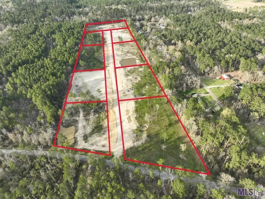 26507 Wagon Wheel Drive, Holden, LA 70744 - #3