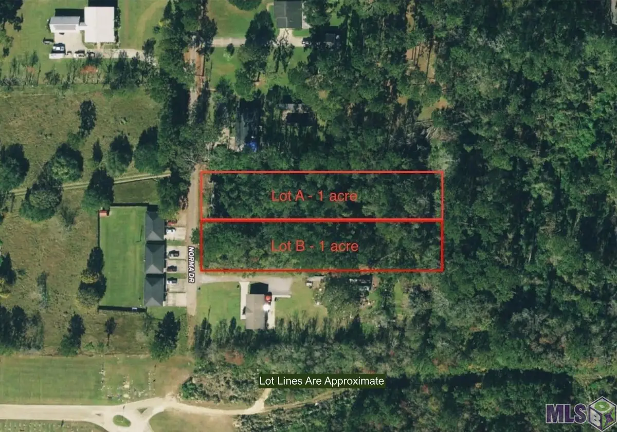 2 Acres Norma Dr, Denham Springs, LA 70726 - Image #1