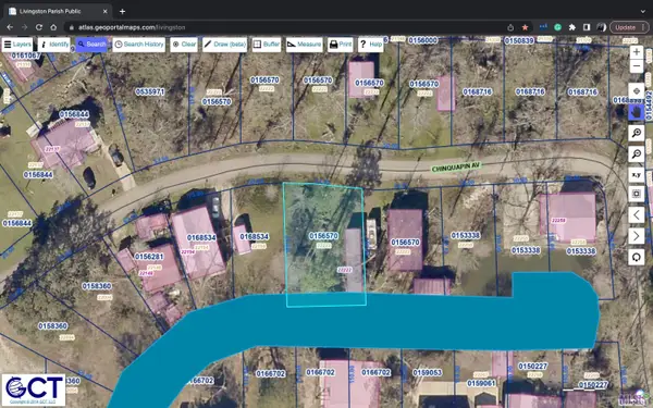 22222 Chinquapin Ave, Maurepas, LA 70449