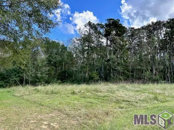 19348 Plantation Trace Dr, Livingston, LA 70754