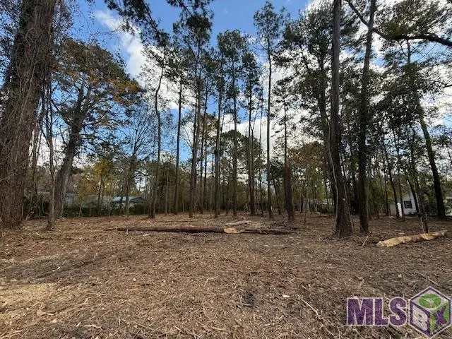 TBD La Hwy 16, Denham Springs, LA 70726 - Image #2