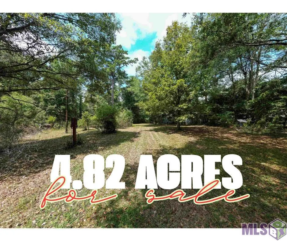 24221 Joe May Rd, Denham Springs, LA 70726 - Image #1