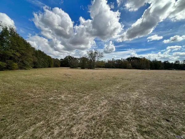 15838 Blackwater Rd, Central, LA 70791