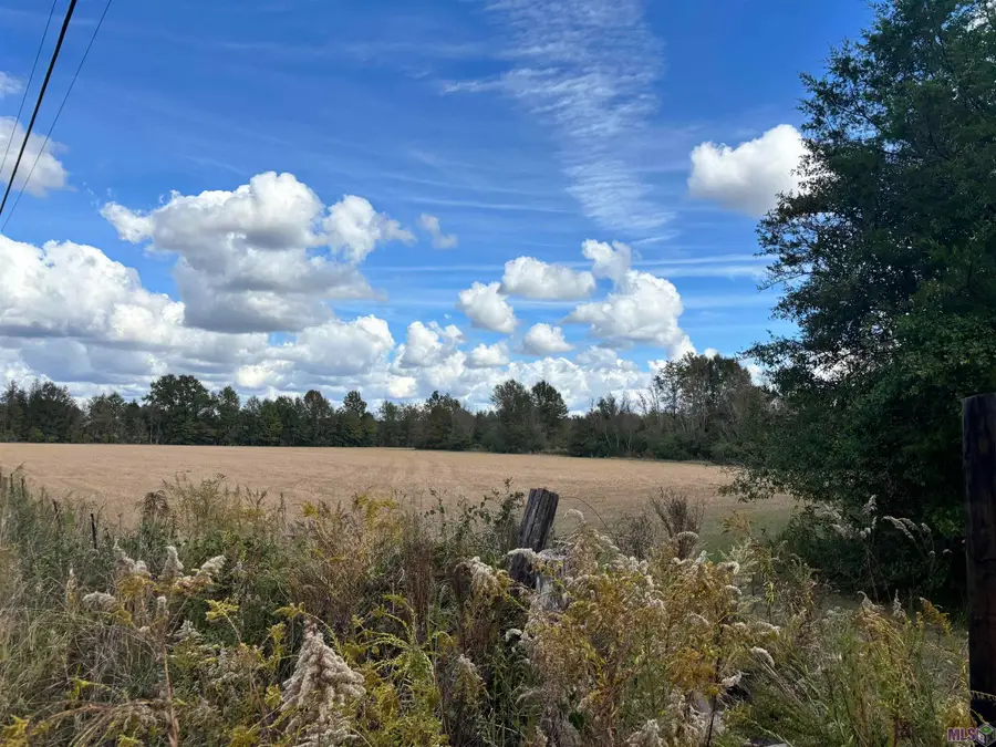 15838 Blackwater Rd, Central, LA 70791 - Image #3