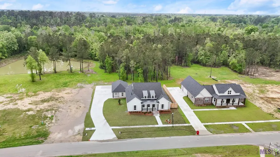 43419 Collyns Cove, Prairieville, LA 70769 - Image #3