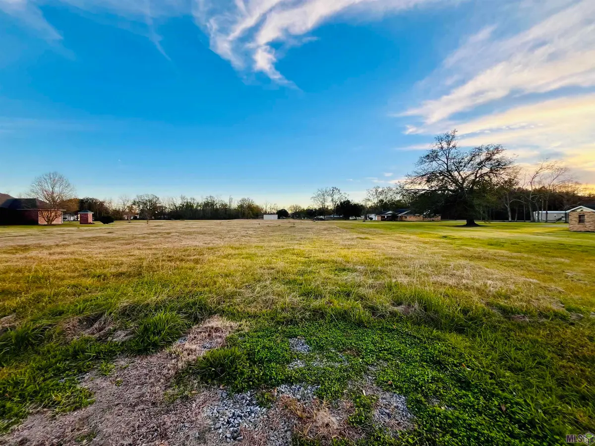 Lot C-3-A Taylor Sheets Rd, Saint Amant, LA 70774 - Image #1