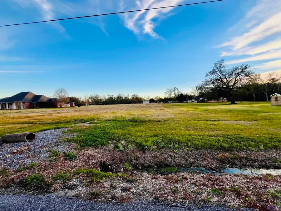 Lot C-3-A Taylor Sheets Rd, Saint Amant, LA 70774 - Image #2