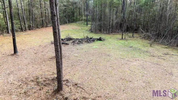 11542 Browns Rd, Folsom, LA 70437