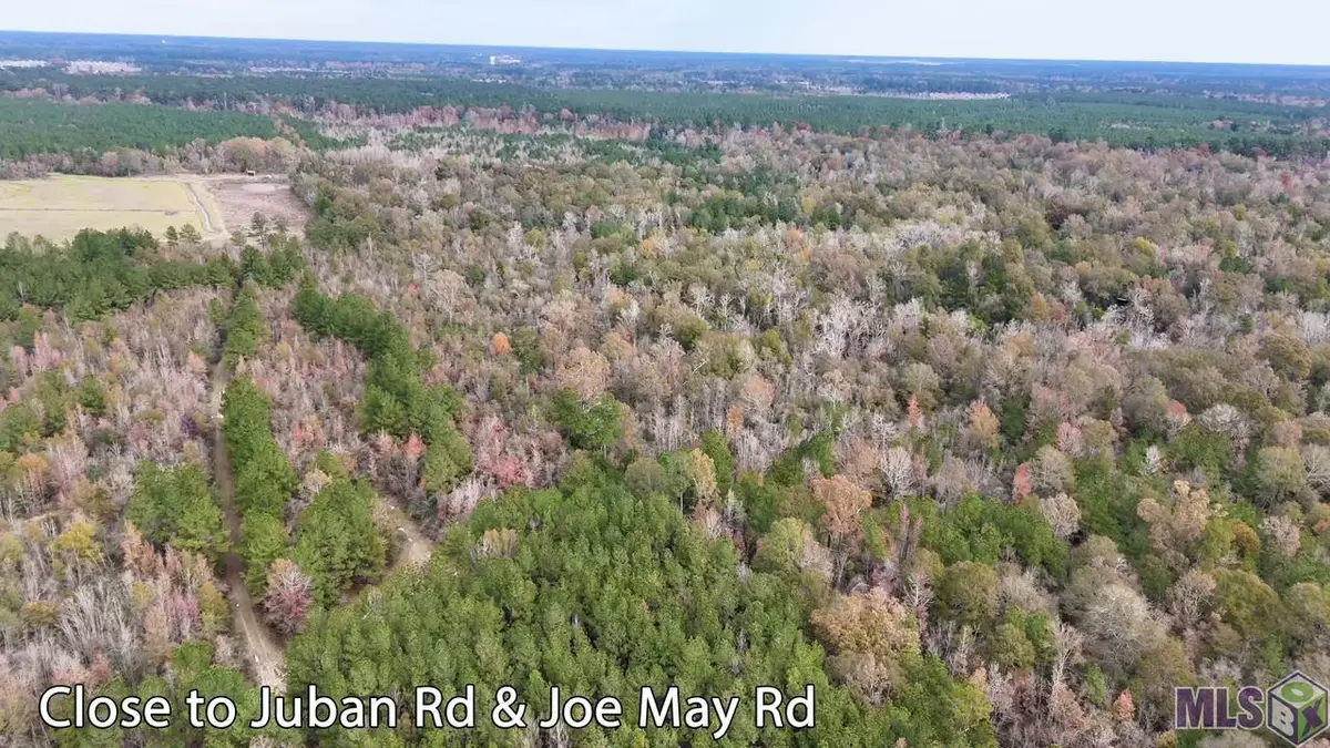 TBD 1 Joe May Rd, Denham Springs, LA 70726 - Image #1
