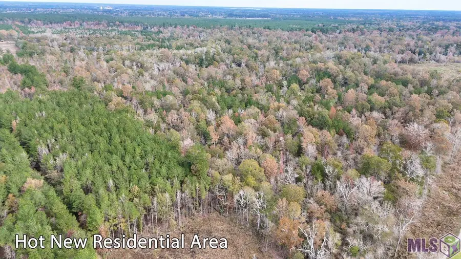 TBD 1 Joe May Rd, Denham Springs, LA 70726 - Image #2