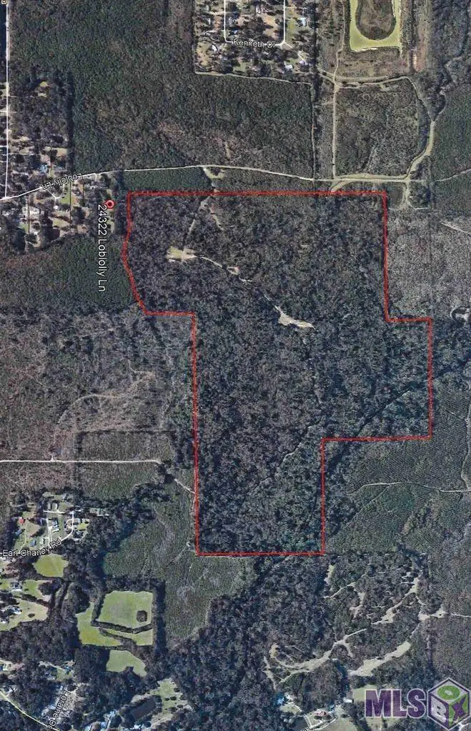 TBD 1 Joe May Rd, Denham Springs, LA 70726 - Image #3