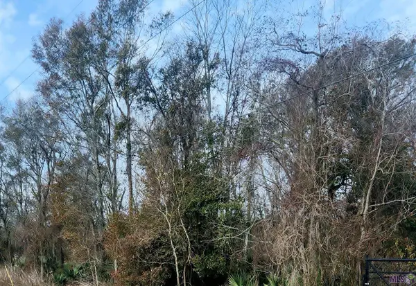 tbd Denver Hurst Rd, Gonzales, LA 70737