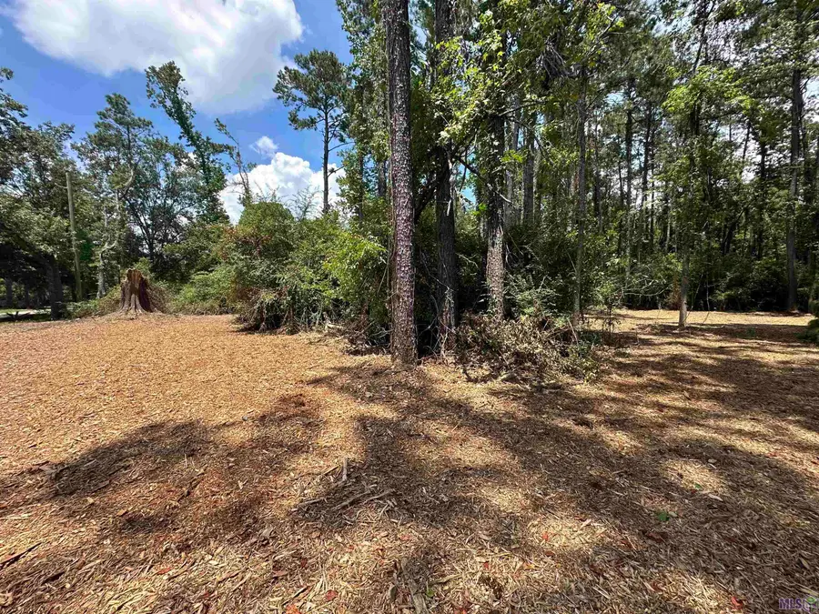 1600 Norma Dr, Denham Springs, LA 70726 - Image #3