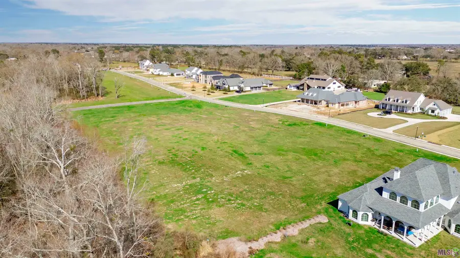 Lot 13 Manchac Reserve Dr, Baton Rouge, LA 70817 - Image #3
