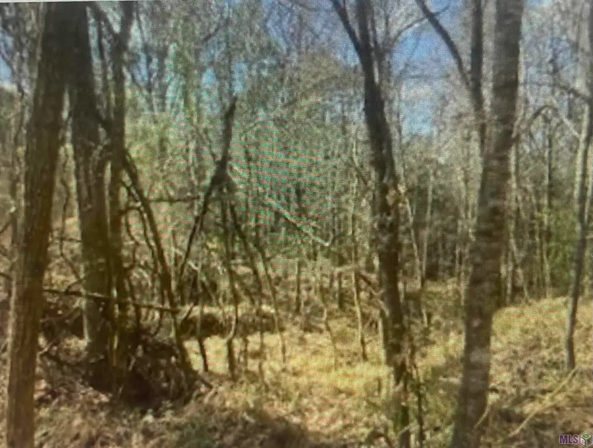 00 Turkey Creek Rd, Natchez, MS 39120 - Image #1