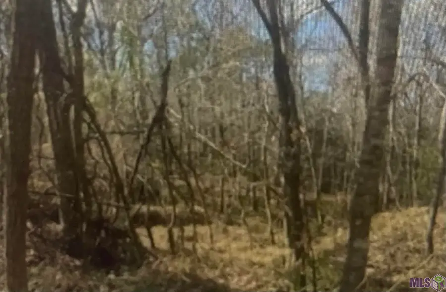 00 Turkey Creek Rd, Natchez, MS 39120 - Image #3