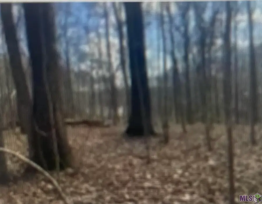 LOT 11 Turkey Creek Rd, Natchez, MS 39120 - Image #2