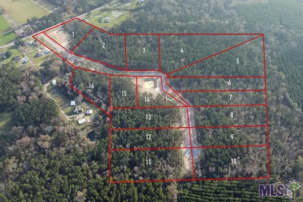 18368 Settlement Trace, Livingston, LA 70754