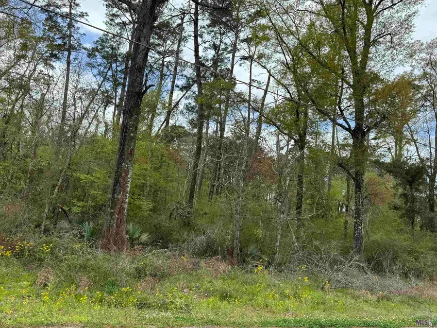 TBD Vincent Place Ave, Denham Springs, LA 70726 - Image #3