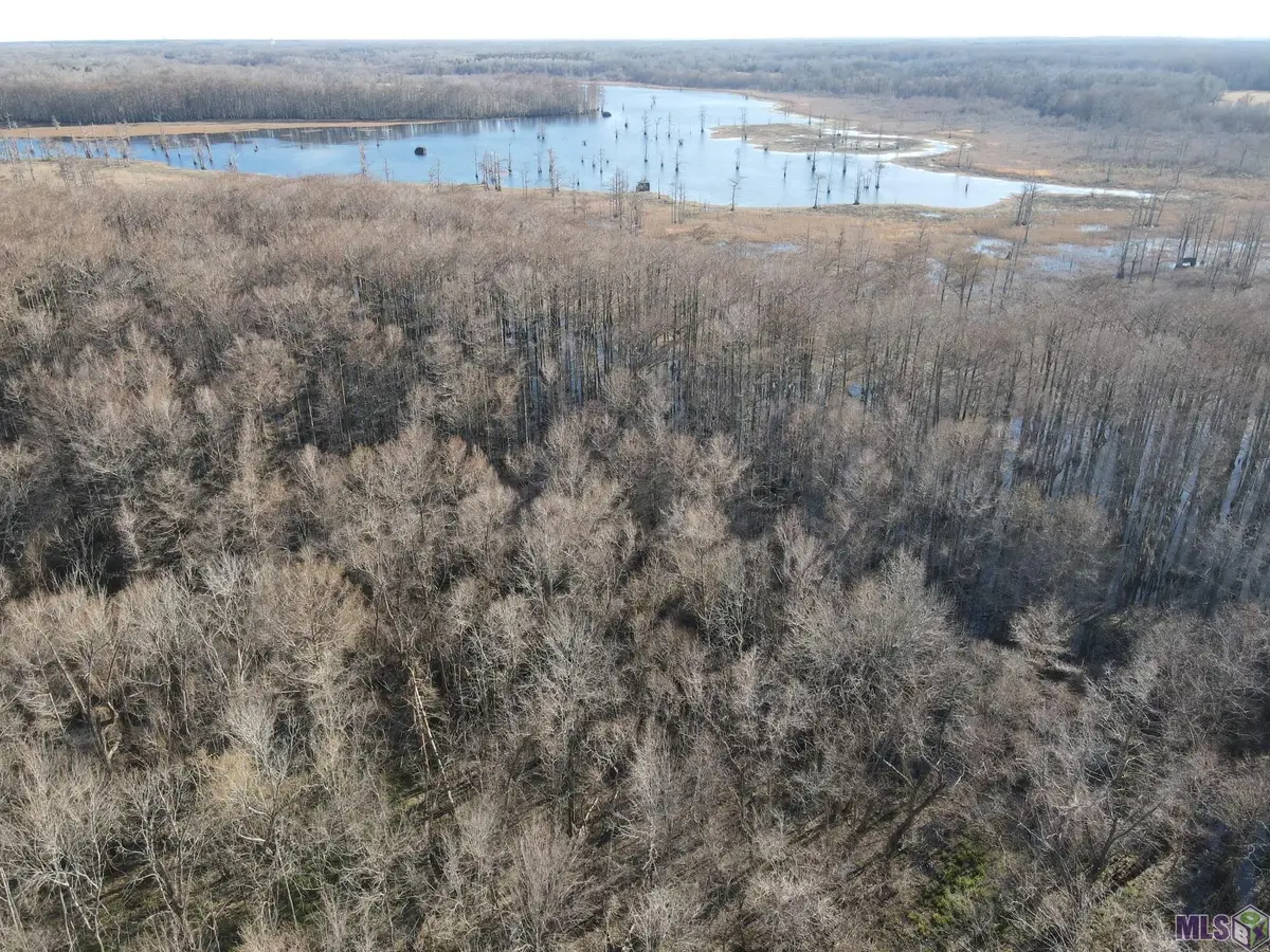 306 Big Sky Ln, Marksville, LA 71351 - Image #1