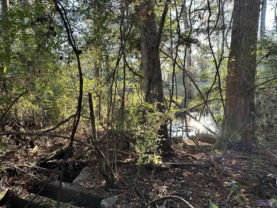 0 Simpson Pl, Hammond, LA 70403 - Image #2