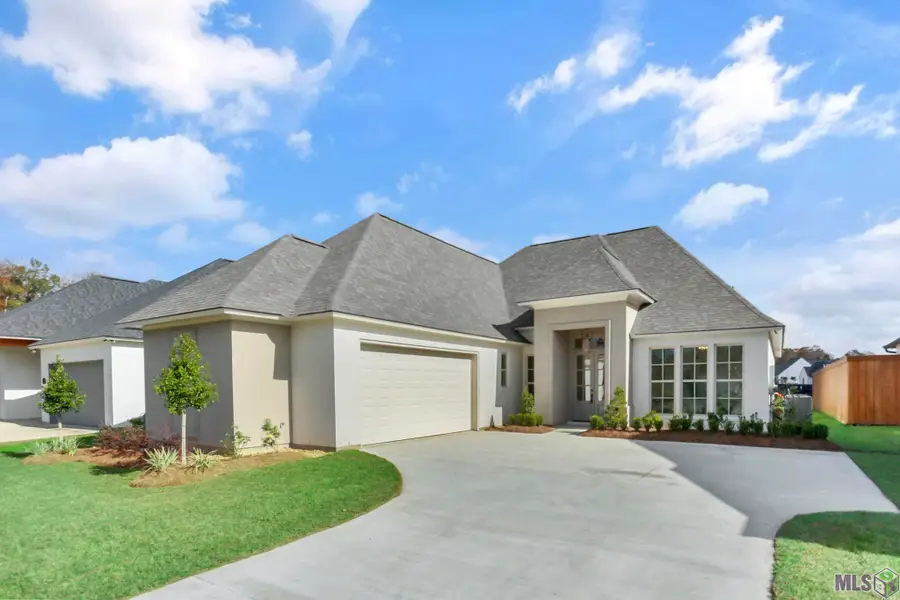 17430 Bull Rush Ave, Prairieville, LA 70769 - Image #2
