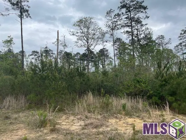 TBD Lot B Teal Mcdaniel Rd, Pine Grove, LA 70453 - Image #1