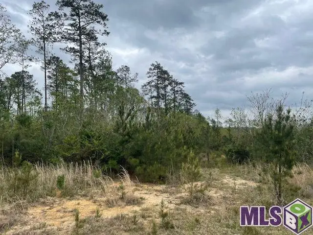 TBD Lot B Teal Mcdaniel Rd, Pine Grove, LA 70453 - Image #2