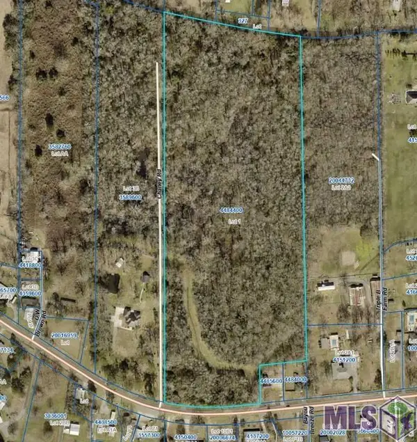 42302 Weber City Rd, Gonzales, LA 70737