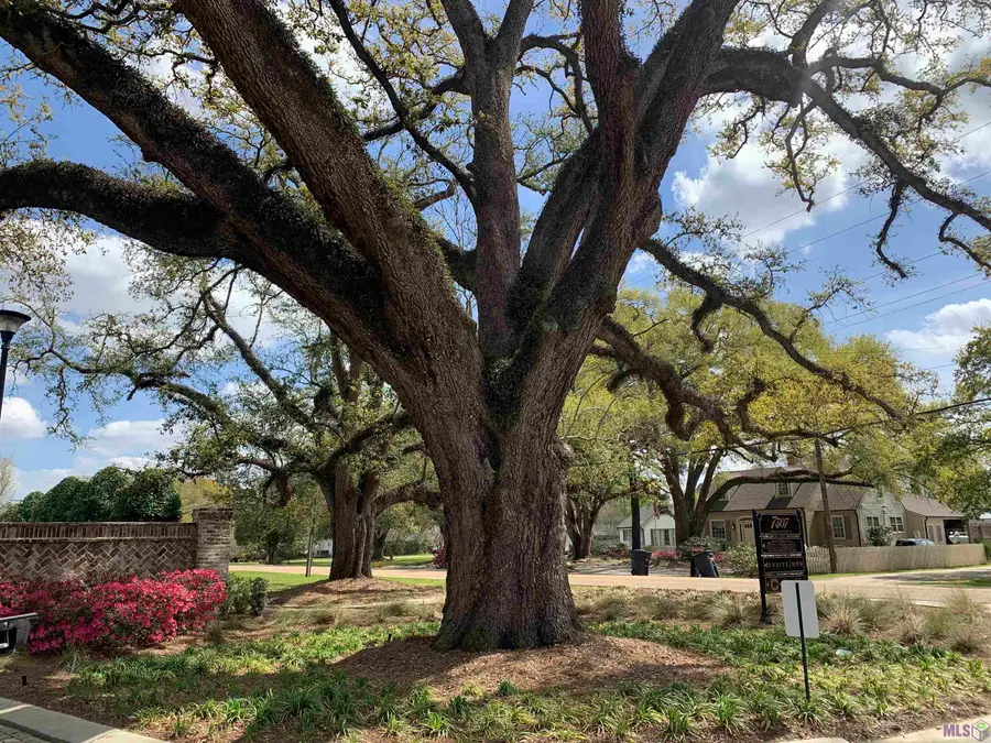 7234 Goodleaf Way, Baton Rouge, LA 70806 - Image #3