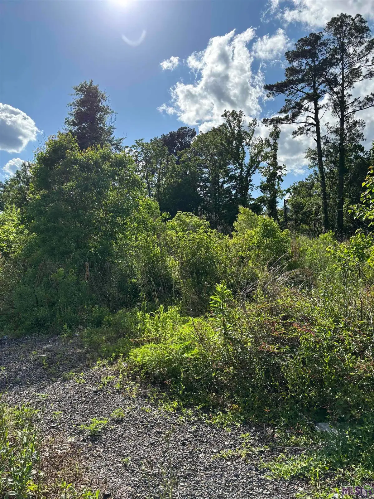 25739 Gill Rd, Denham Springs, LA 70726 - Image #1