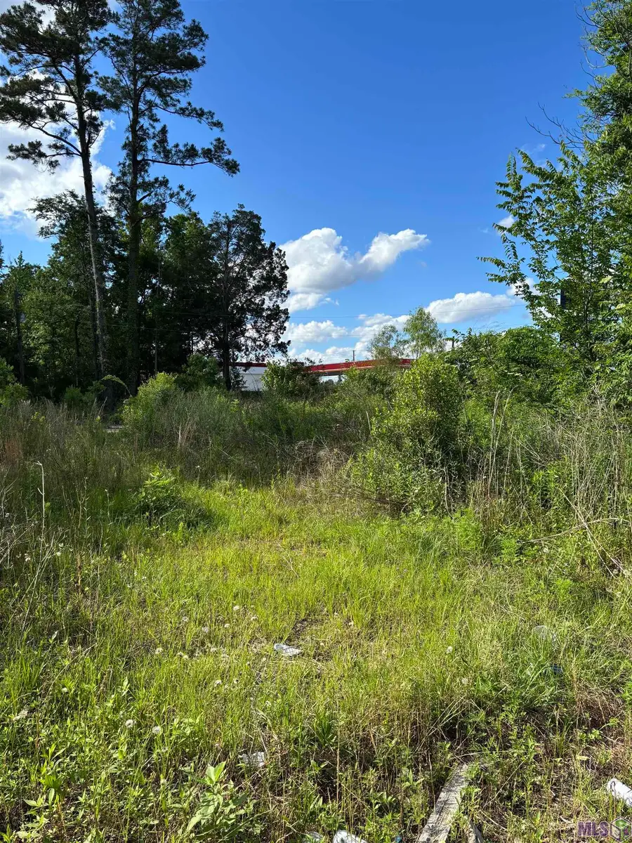 25739 Gill Rd, Denham Springs, LA 70726 - Image #2