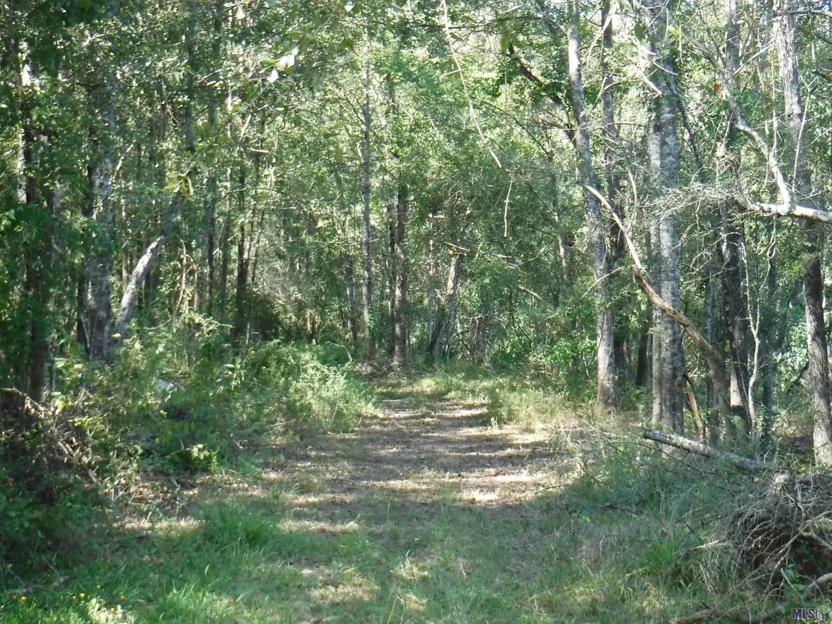 TBD La 19 Highway, Slaughter, LA 70777 - Image #1