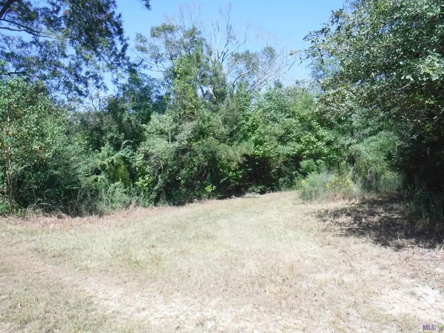 TBD La 19 Highway, Slaughter, LA 70777 - Image #3