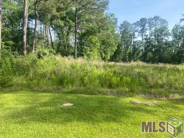 61199 Hwy 1046, Amite, LA 70422 - Image #1
