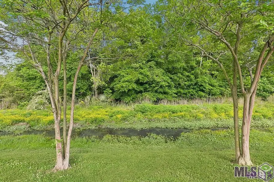 TBD Walker South Rd, Walker, LA 70785 - Image #2