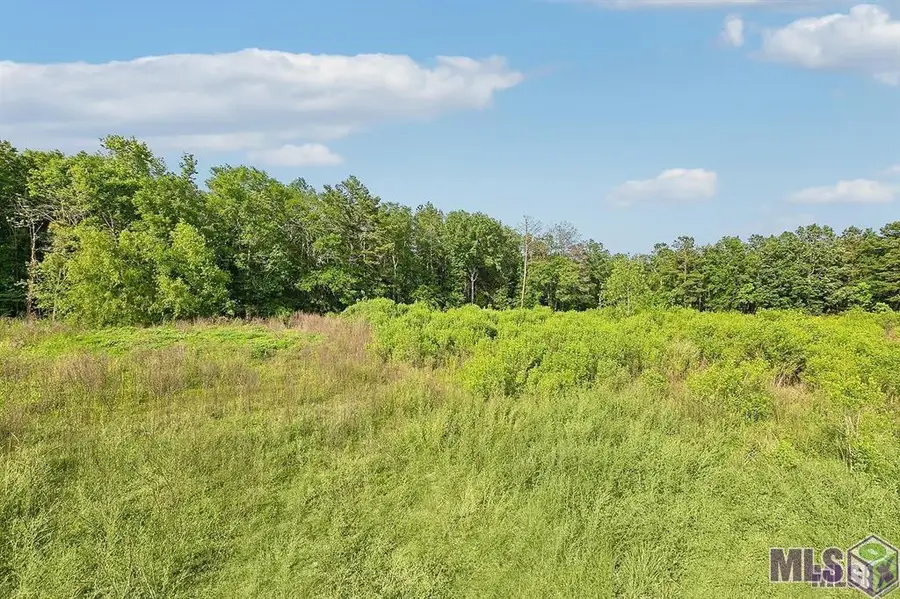 TBD Walker South Rd, Walker, LA 70785 - Image #3