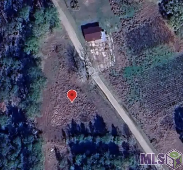 40073 Bill Addison Rd, Holden, LA 70774