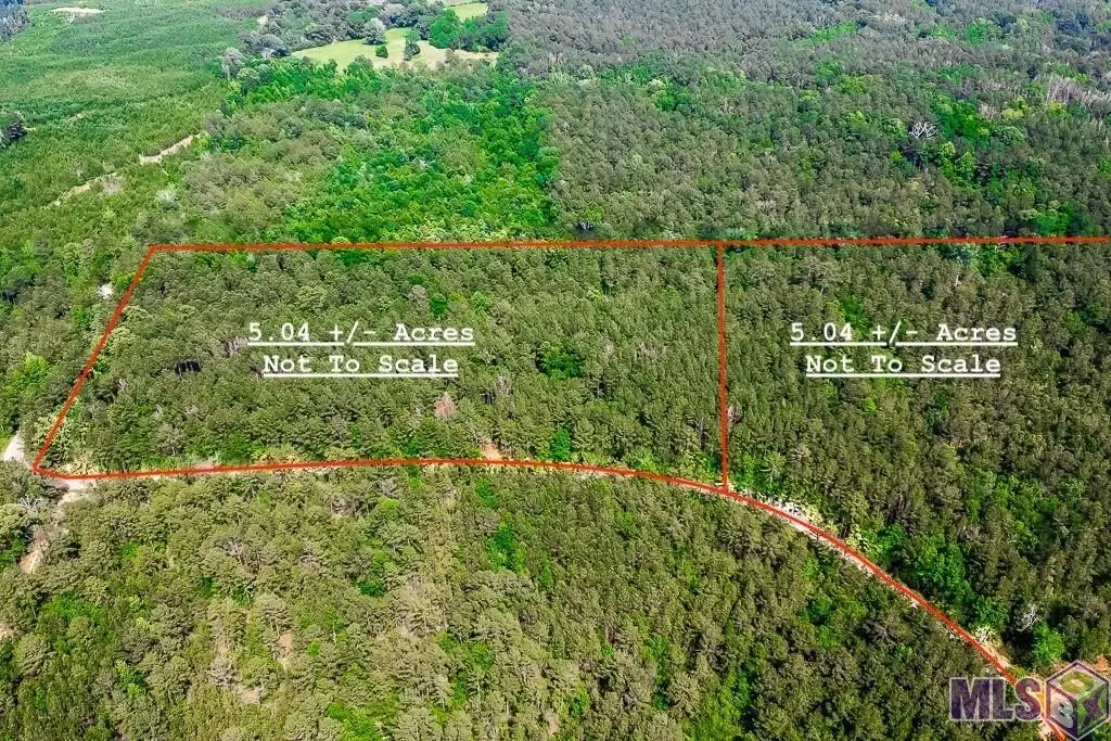 TBD Pipes Ln, Liberty, MS 39645 - Image #1