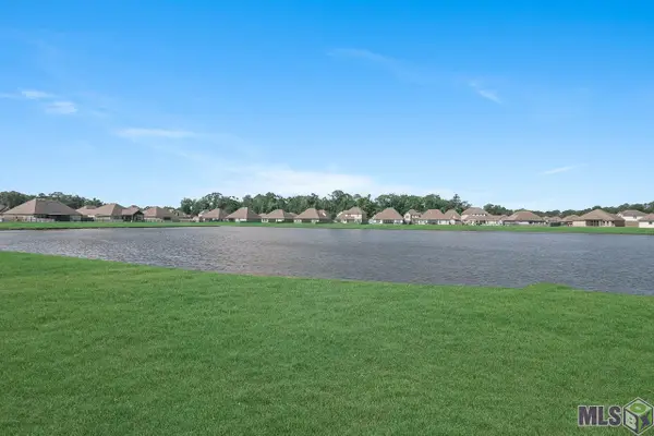 17527 Eagles Perch Dr, Prairieville, LA 70769