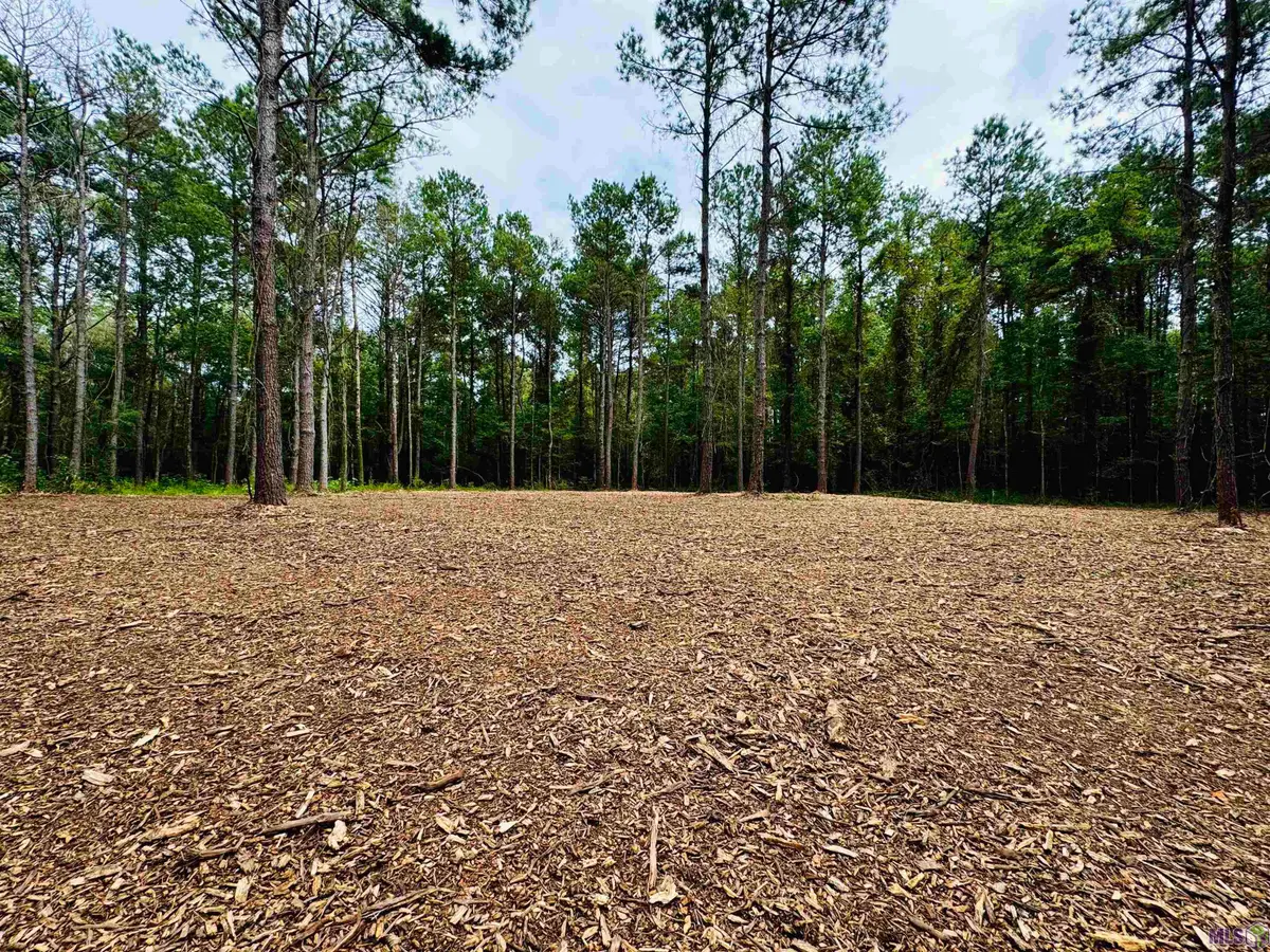 SF-2 La Hwy 16, Denham Springs, LA 70706 - Image #1