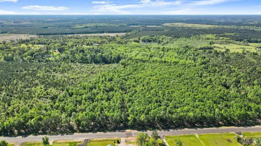 SF-2 La Hwy 16, Denham Springs, LA 70706 - Image #3