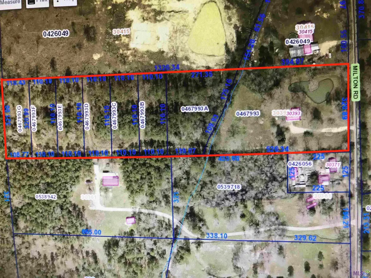 30393 Milton Rd, Walker, LA 70785 - Image #1
