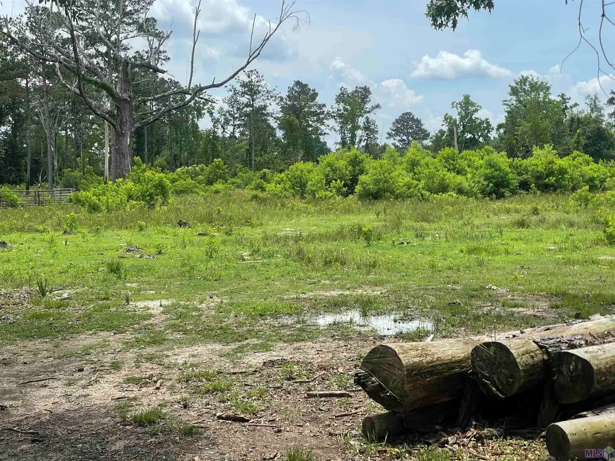 17068 La Hwy 933, Prairieville, LA 70769 - Image #1